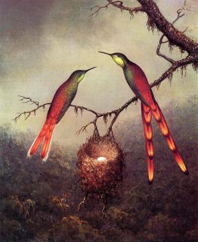 Two Hummingbirds Garding an Egg